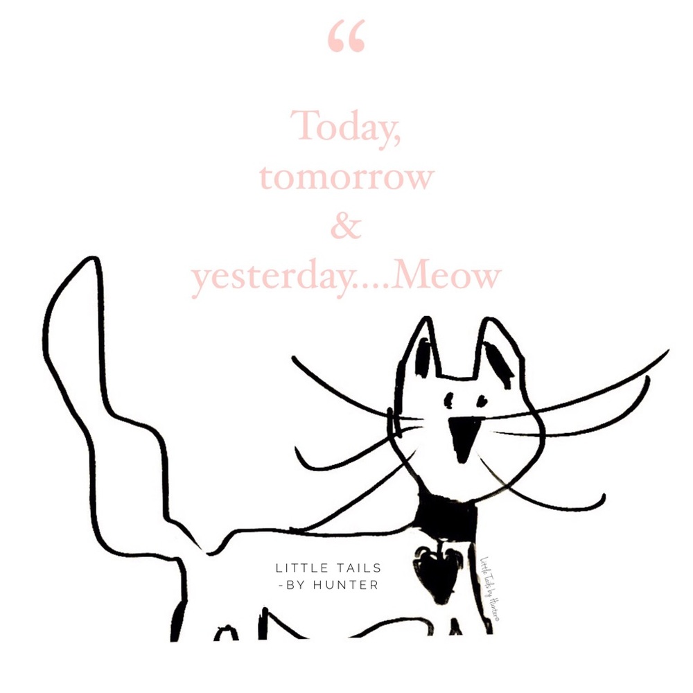 Meow - LittleTails